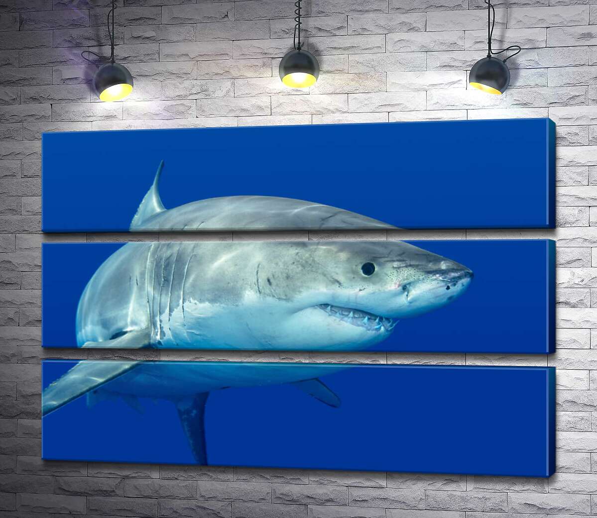 

Модульная картина ArtPoster Белая акула плавает в голубой воде 90x60 см Модуль №13