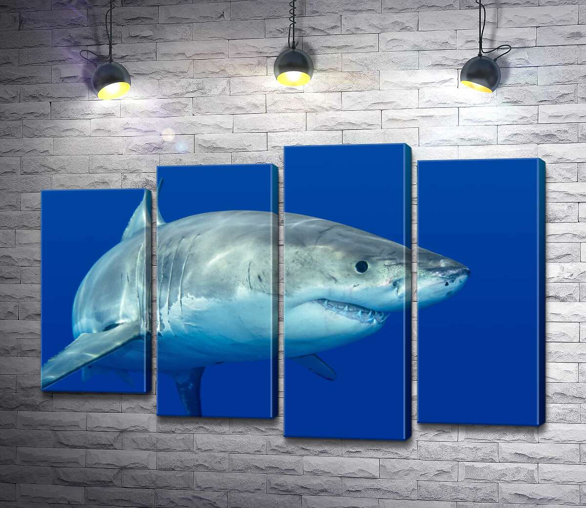 

Модульная картина ArtPoster Белая акула плавает в голубой воде 80x54 см Модуль №21