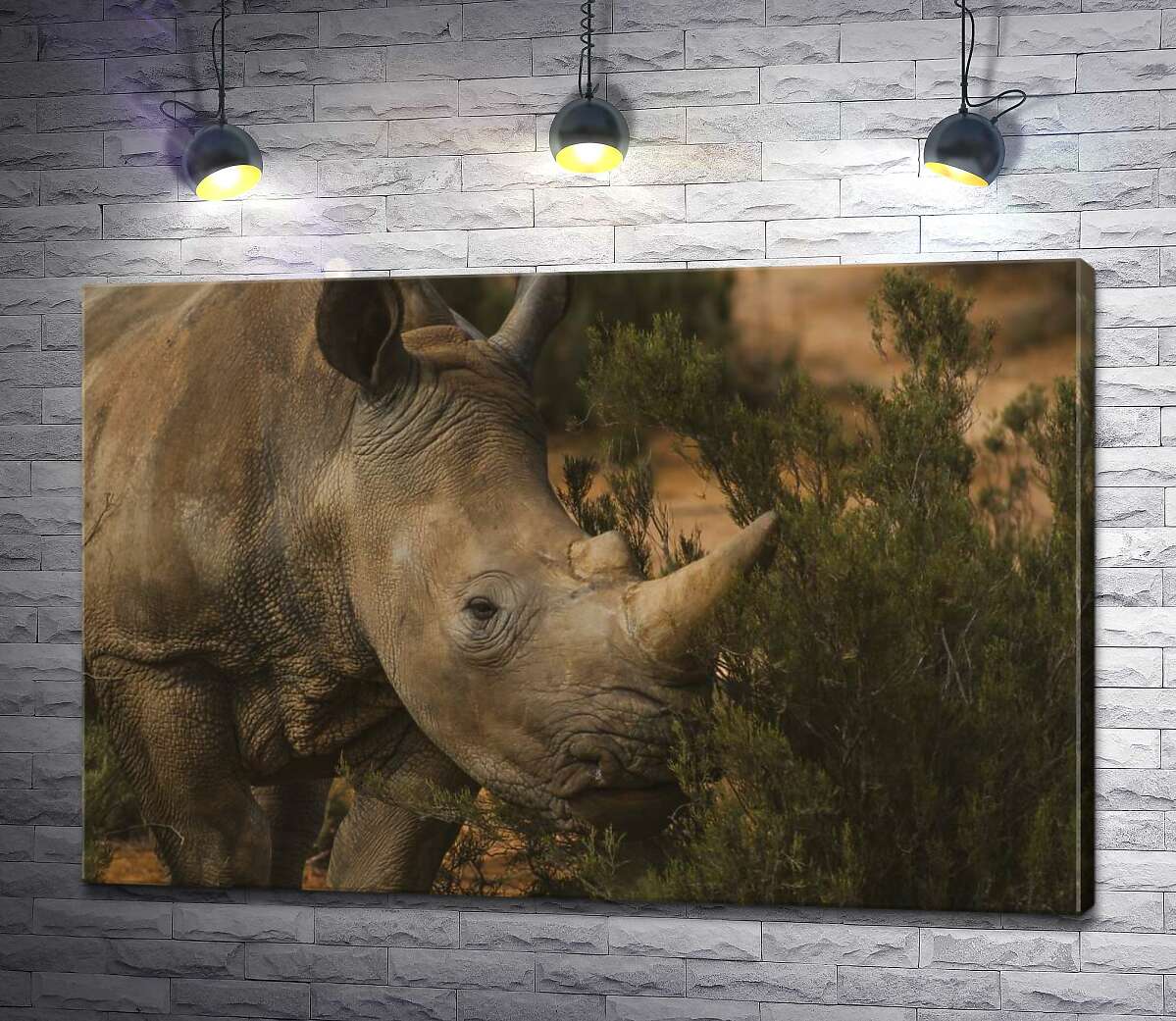 

Картина ArtPoster Редкий белый носорог ест траву 130x87 см Модуль №1