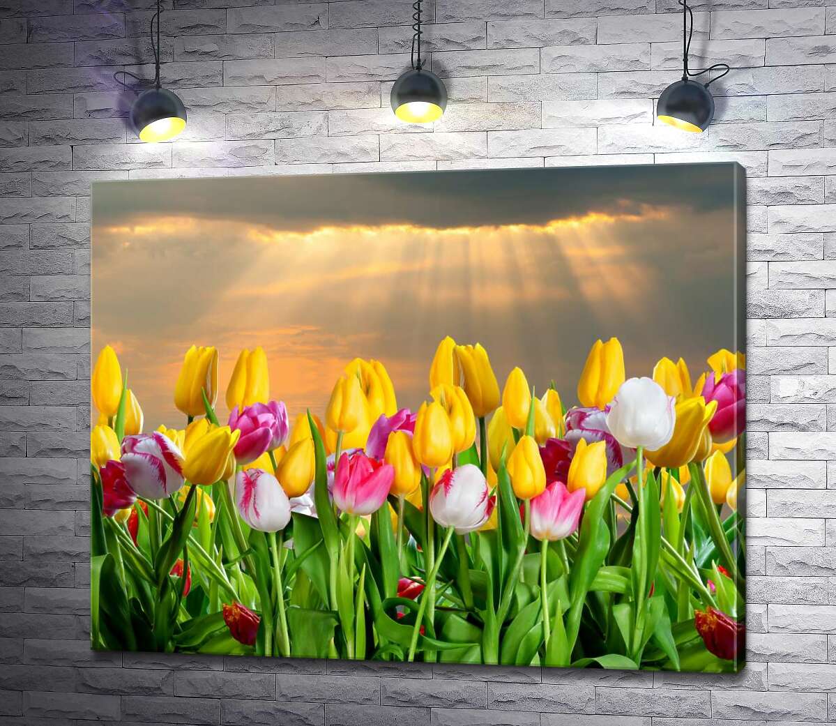 

Картина ArtPoster Розовые лучики пробираются к тюльпановой грядке после весенней грозы 130x104 см Модуль №1