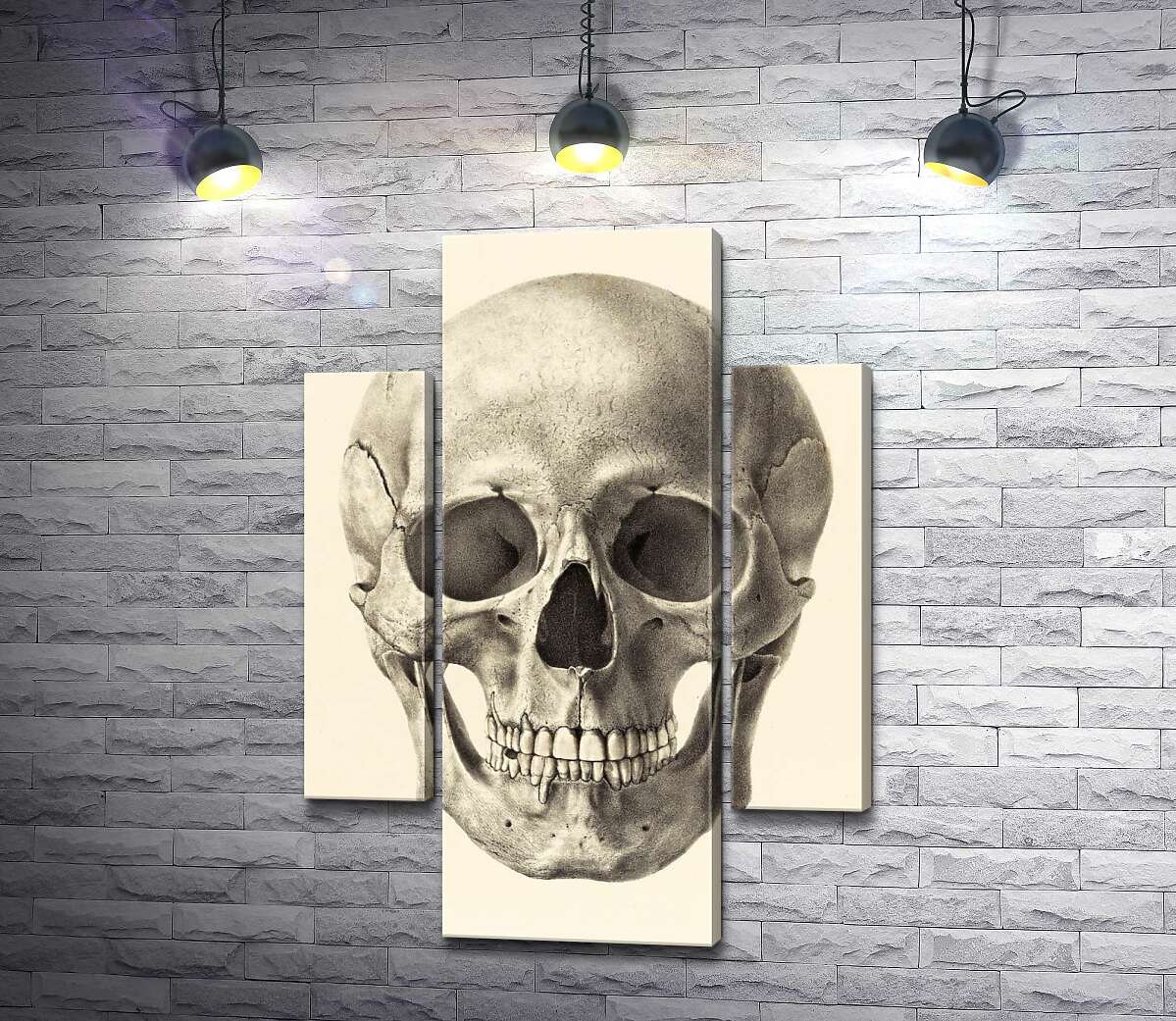 

Модульная картина ArtPoster Анатомия в деталях: череп человека 100x143 см Модуль №7