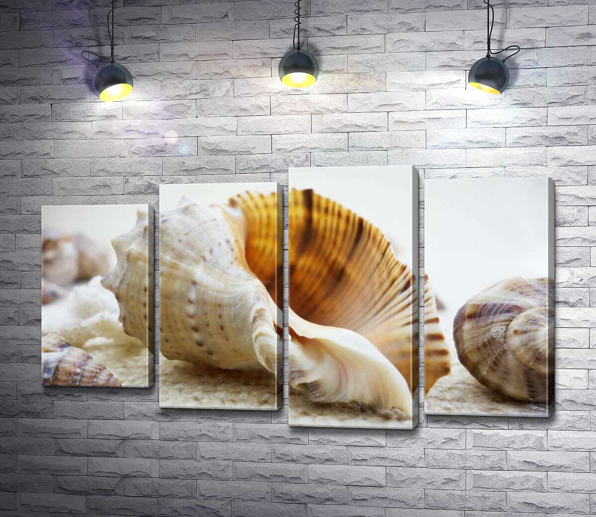 

Модульная картина ArtPoster Ажурные изгибы форм в морских раковинах 132x78 см Модуль №21