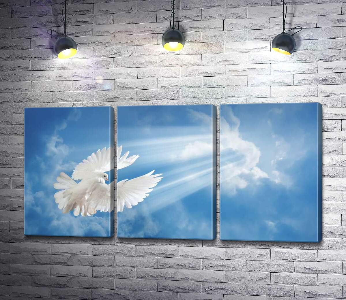 

Модульная картина ArtPoster Белокрылый голубь в лучах солнца поднимается в небо 102x51 см Модуль №11