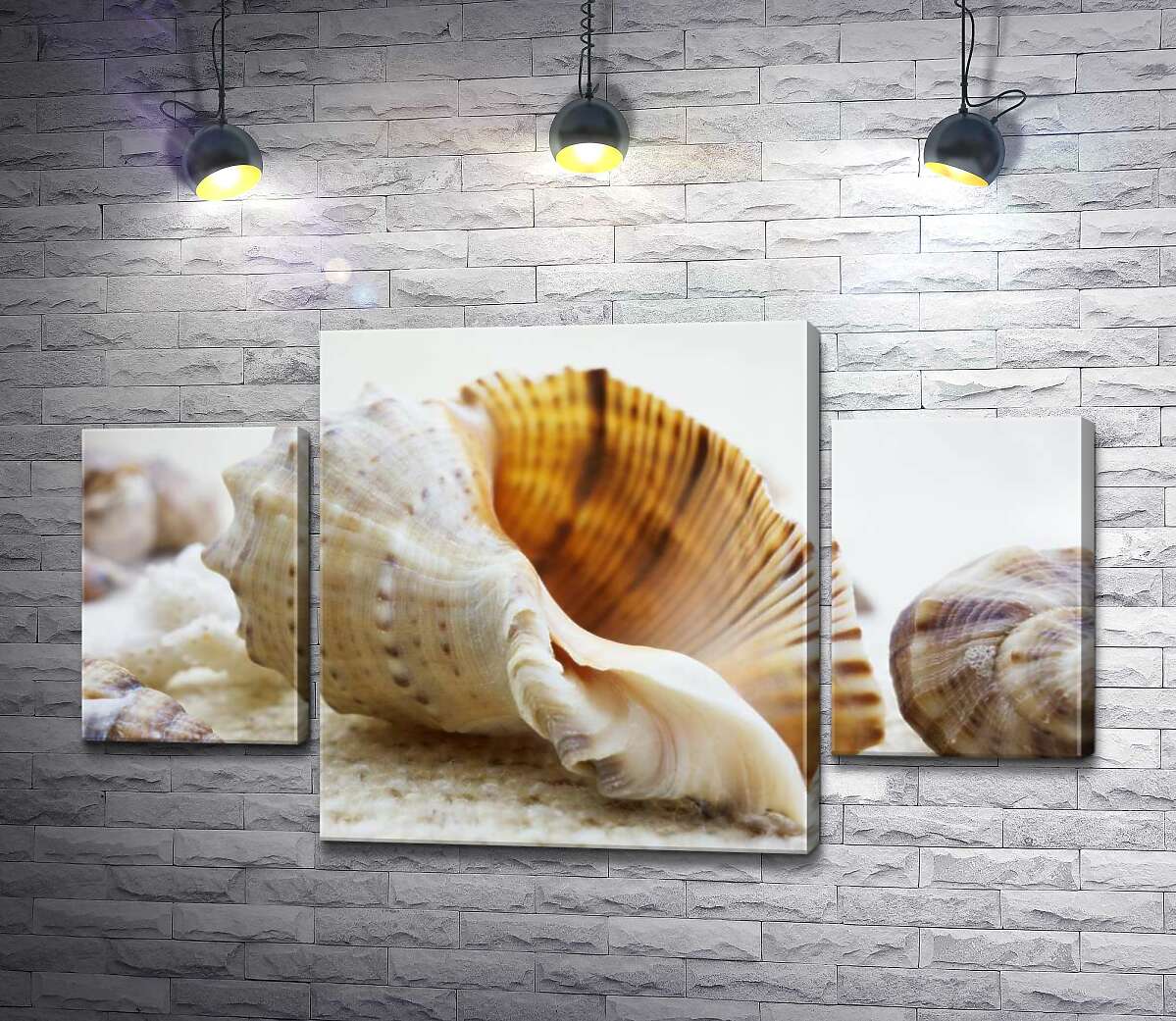 

Модульная картина ArtPoster Ажурные изгибы форм в морских раковинах 131x78 см Модуль №7