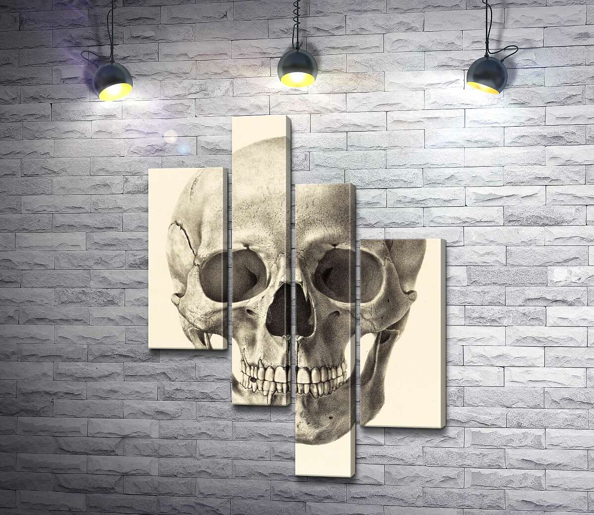 

Модульная картина ArtPoster Анатомия в деталях: череп человека 100x143 см Модуль №20