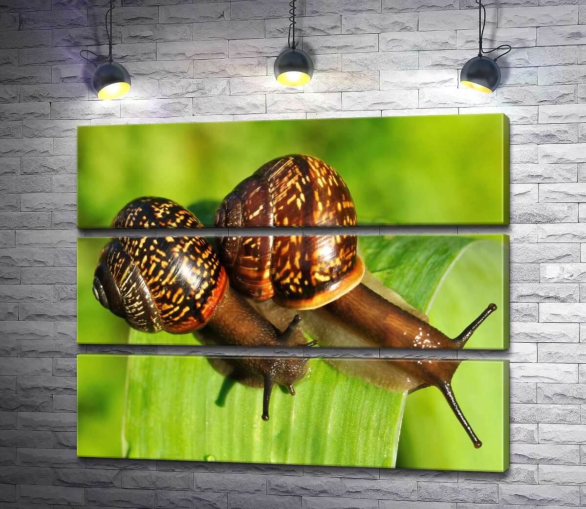 

Модульная картина ArtPoster Две пятнистые улитки ползут по травинке 130x105 см Модуль №13