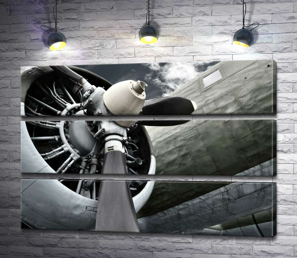 

Модульная картина ArtPoster Гигантские размеры пропеллера самолета 100x66 см Модуль №13