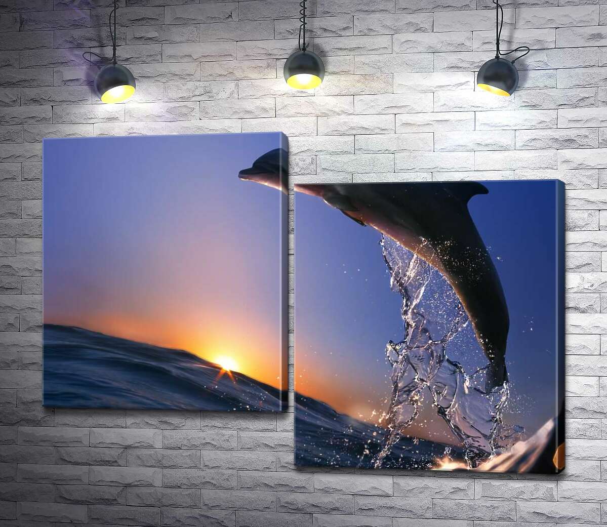 

Модульная картина ArtPoster Дельфин взлетает над водой 100x72 см Модуль №5