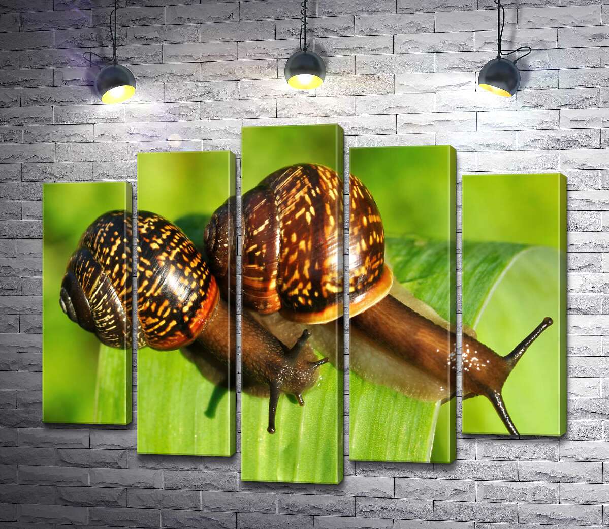 

Модульная картина ArtPoster Две пятнистые улитки ползут по травинке 130x106 см Модуль №26