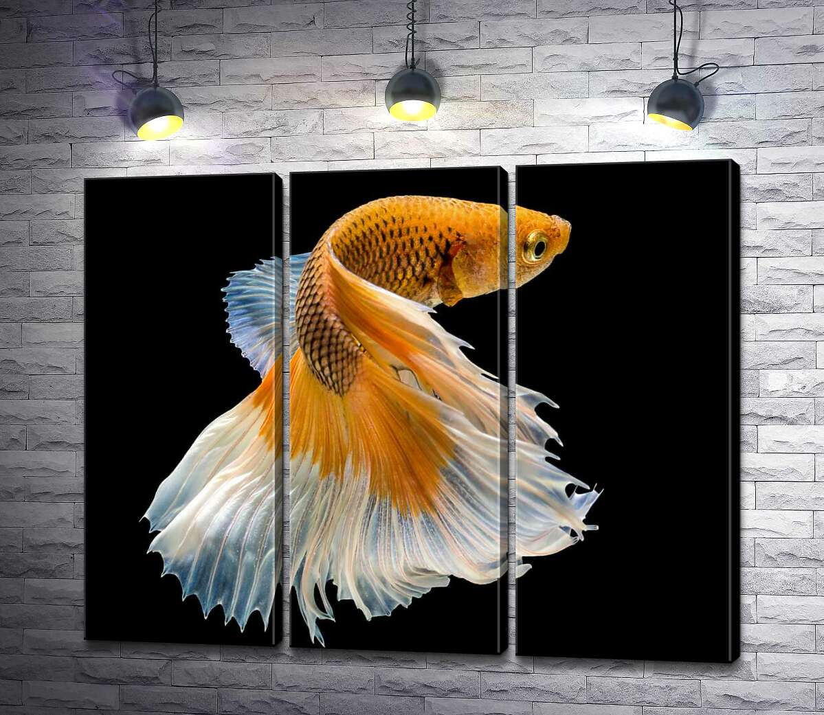 

Модульная картина ArtPoster Золотая рыба-петушок с белым пышным хвостом 60x50 см Модуль №11