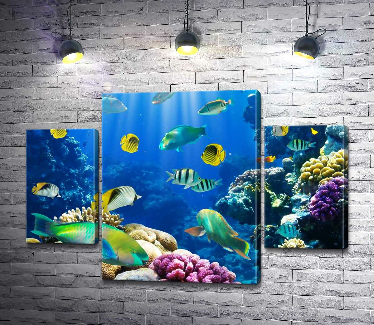 

Модульная картина ArtPoster Красота подводного мира рыб и кораллов 80x54 см Модуль №7