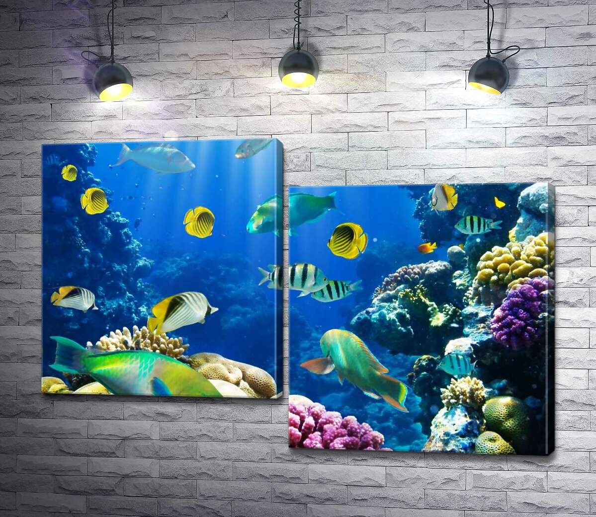 

Модульная картина ArtPoster Красота подводного мира рыб и кораллов 130x88 см Модуль №5