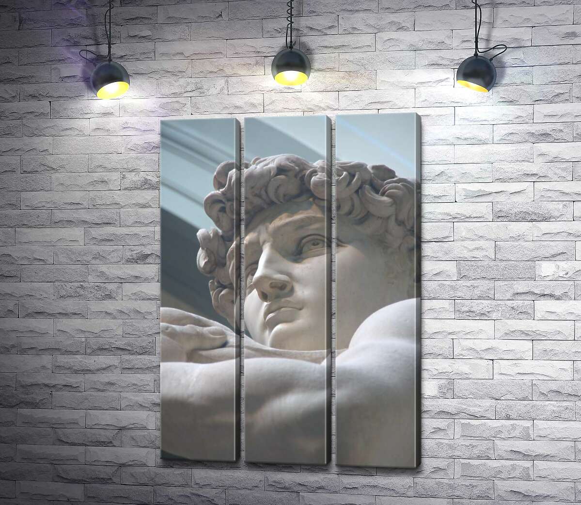 

Модульная картина ArtPoster Лицо мраморной статуи Давида 102x150 см Модуль №11