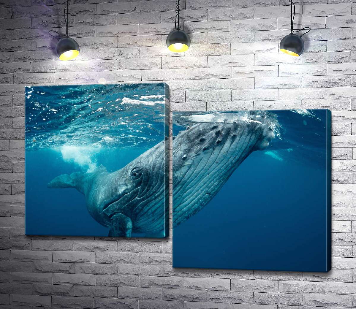

Модульная картина ArtPoster Могучие очертания кита в океане 130x88 см Модуль №5