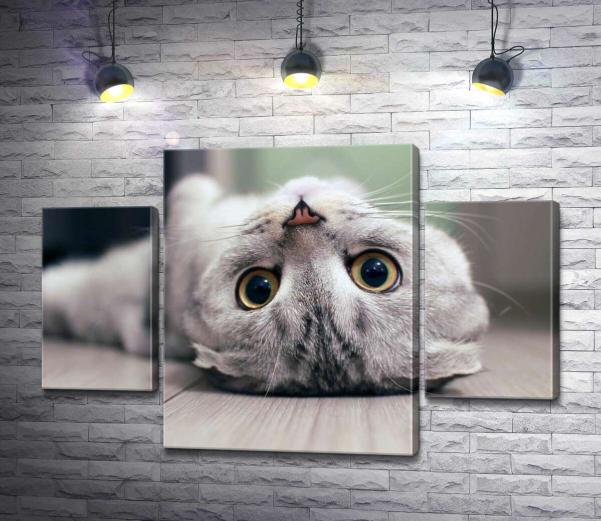 

Модульная картина ArtPoster Милый взгляд серого шотландского кота 131x89 см Модуль №7