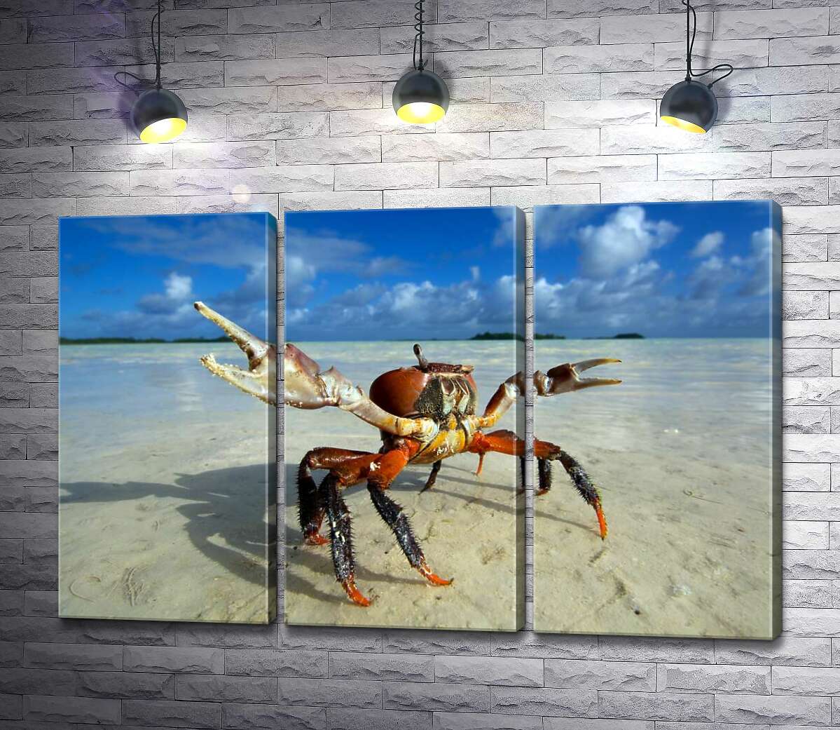 

Модульная картина ArtPoster Краб готовит клешни к нападению 60x39 см Модуль №11