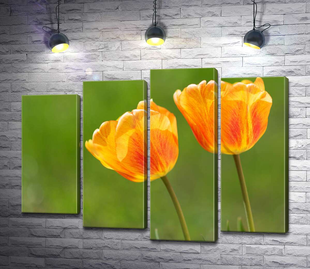 

Модульная картина ArtPoster Красный узор на желтых тюльпанах 132x97 см Модуль №21