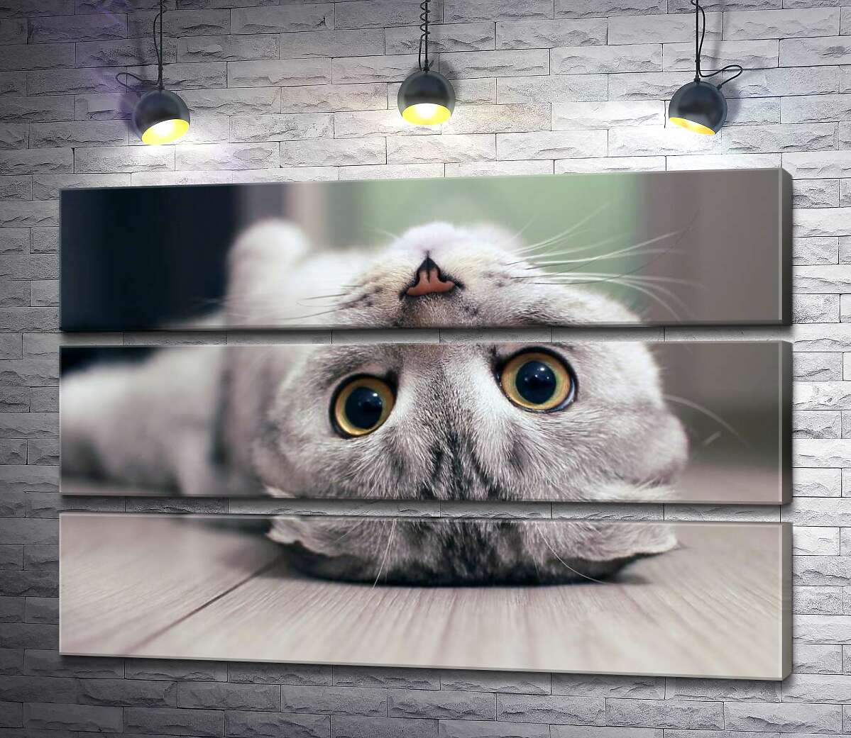 

Модульная картина ArtPoster Милый взгляд серого шотландского кота 90x60 см Модуль №13