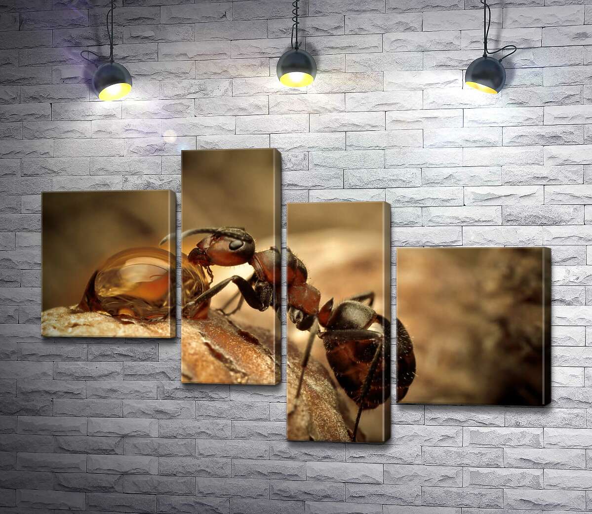 

Модульная картина ArtPoster Маленький муравей пьет из капли 130x87 см Модуль №20