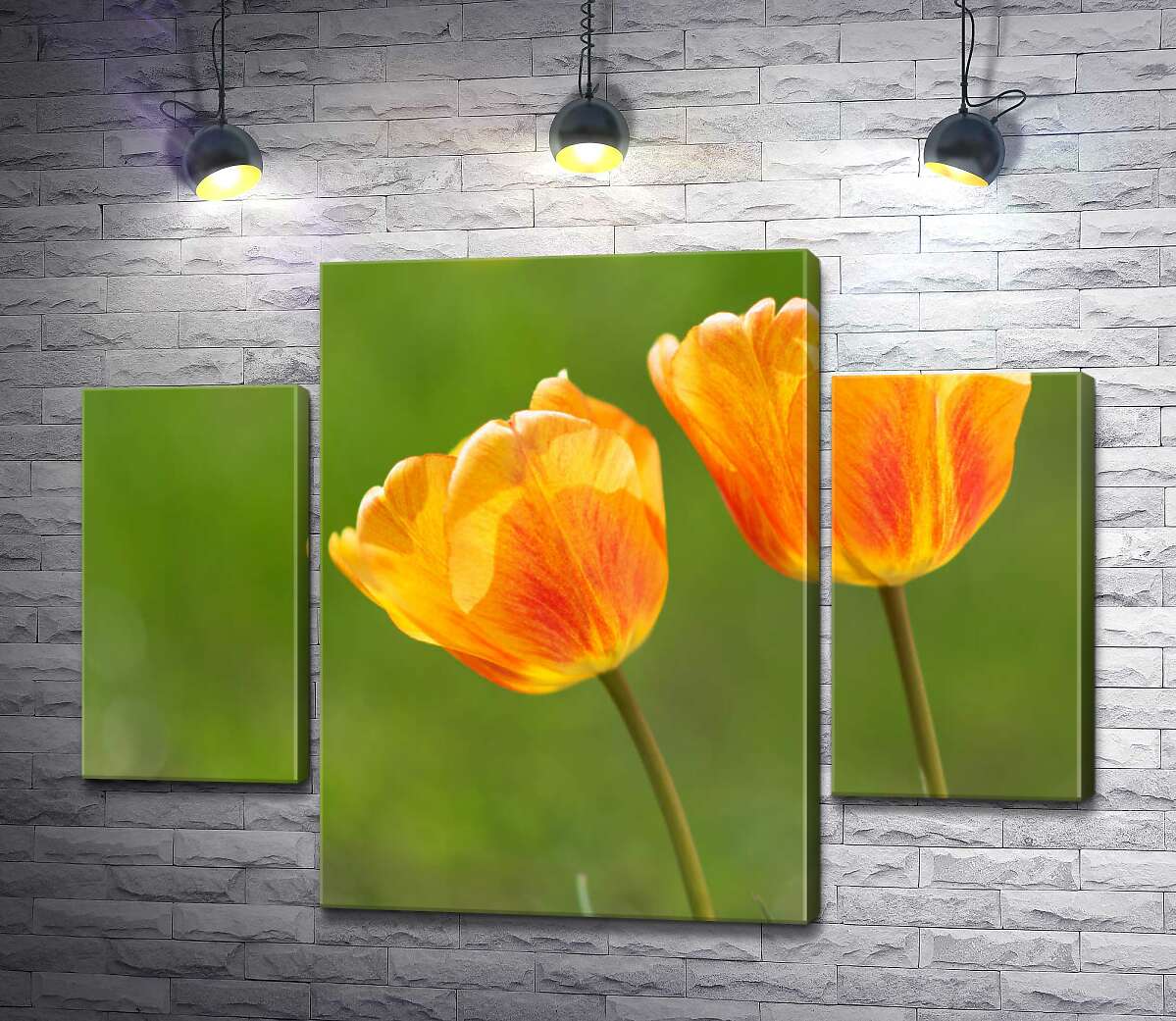 

Модульная картина ArtPoster Красный узор на желтых тюльпанах 100x74 см Модуль №7