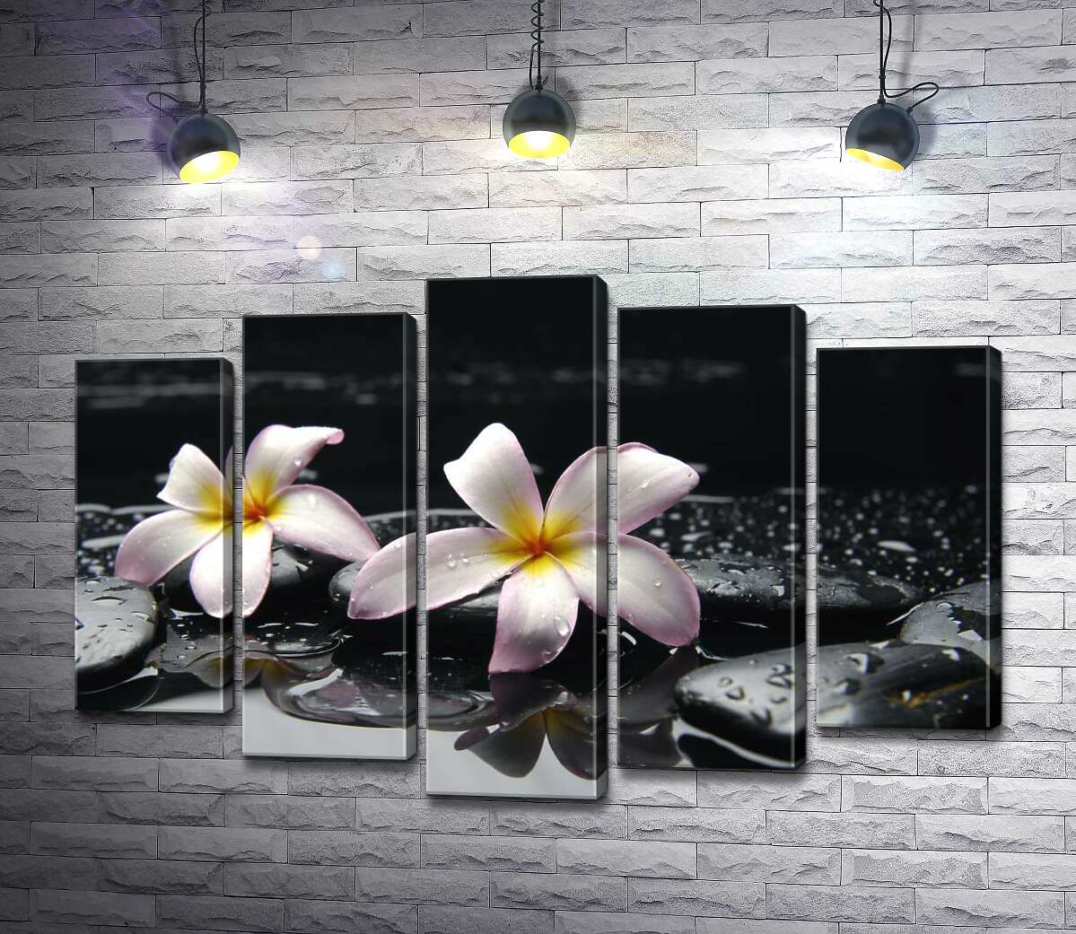 

Модульная картина ArtPoster Нежные цветы плюмерии на орошеных водой черных камнях 130x87 см Модуль №26