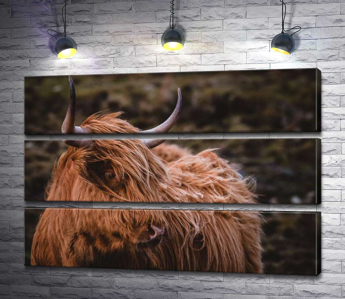 

Модульная картина ArtPoster Мягкая шерсть шотландской коровы развевается на ветру 90x60 см Модуль №13