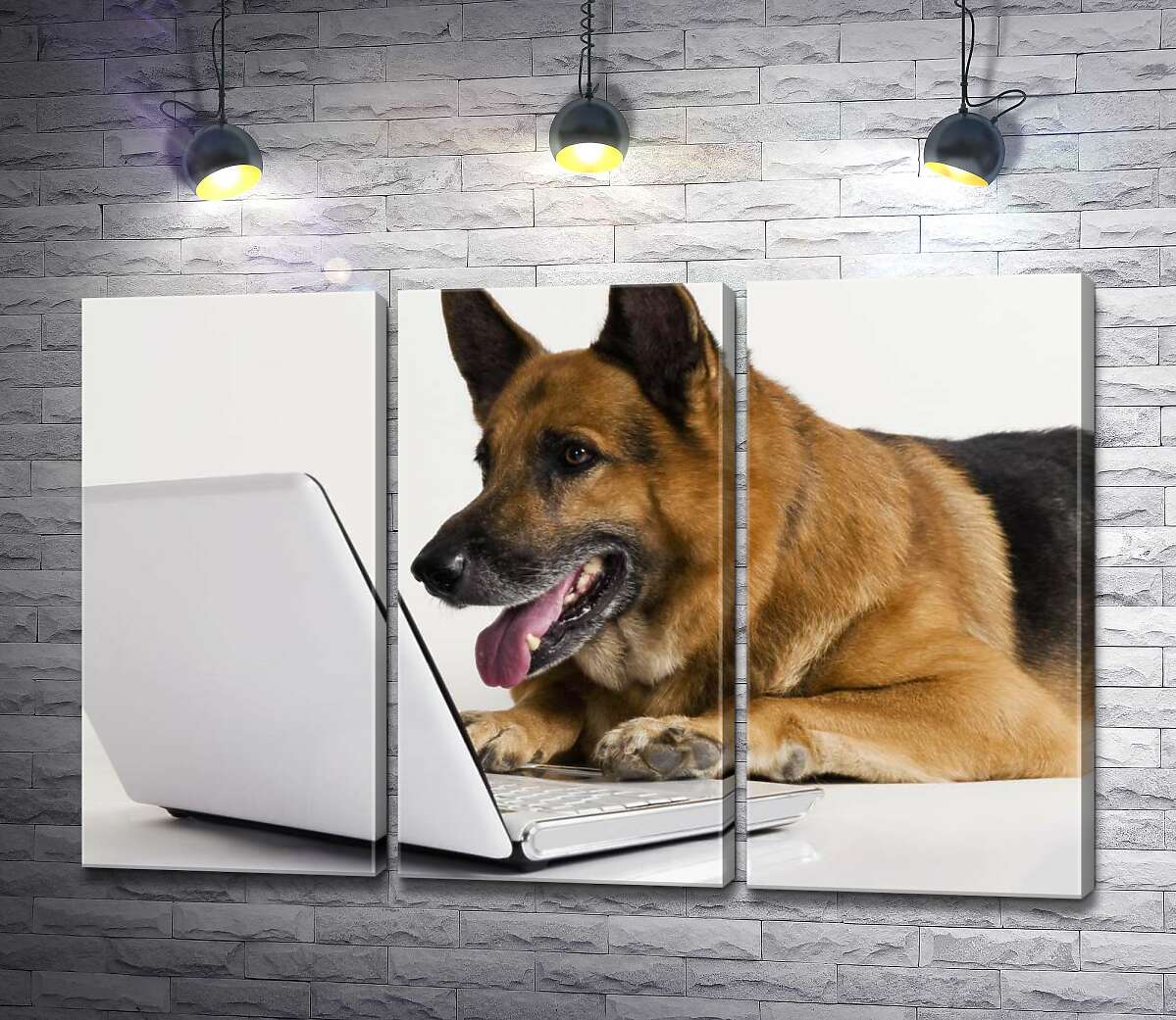 

Модульная картина ArtPoster Немецкая овчарка сконцентрированно работает за ноутбуком 132x86 см Модуль №11