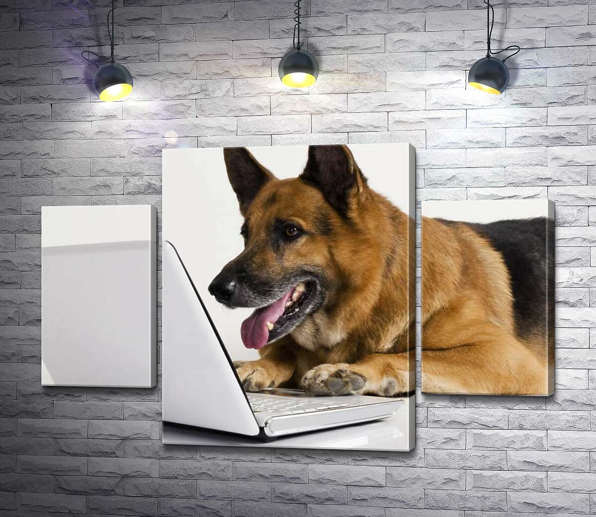 

Модульная картина ArtPoster Немецкая овчарка сконцентрированно работает за ноутбуком 80x54 см Модуль №7