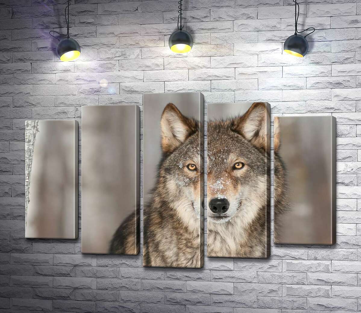 

Модульная картина ArtPoster Настороженный взгляд хищного волка 130x87 см Модуль №26
