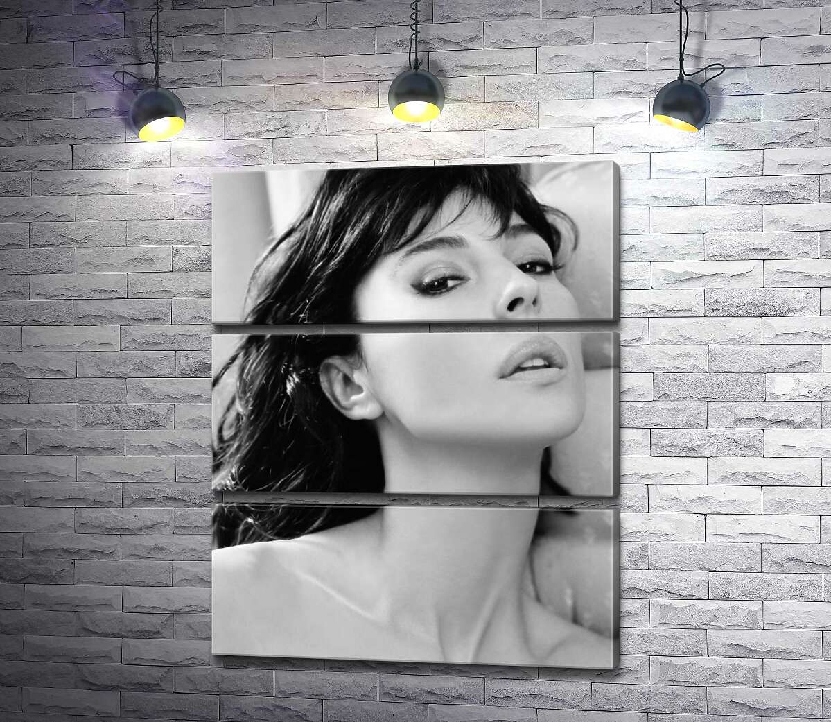 

Модульная картина ArtPoster Откровенный взгляд Моники Беллуччи (Monica Bellucci) 100x123 см Модуль №13