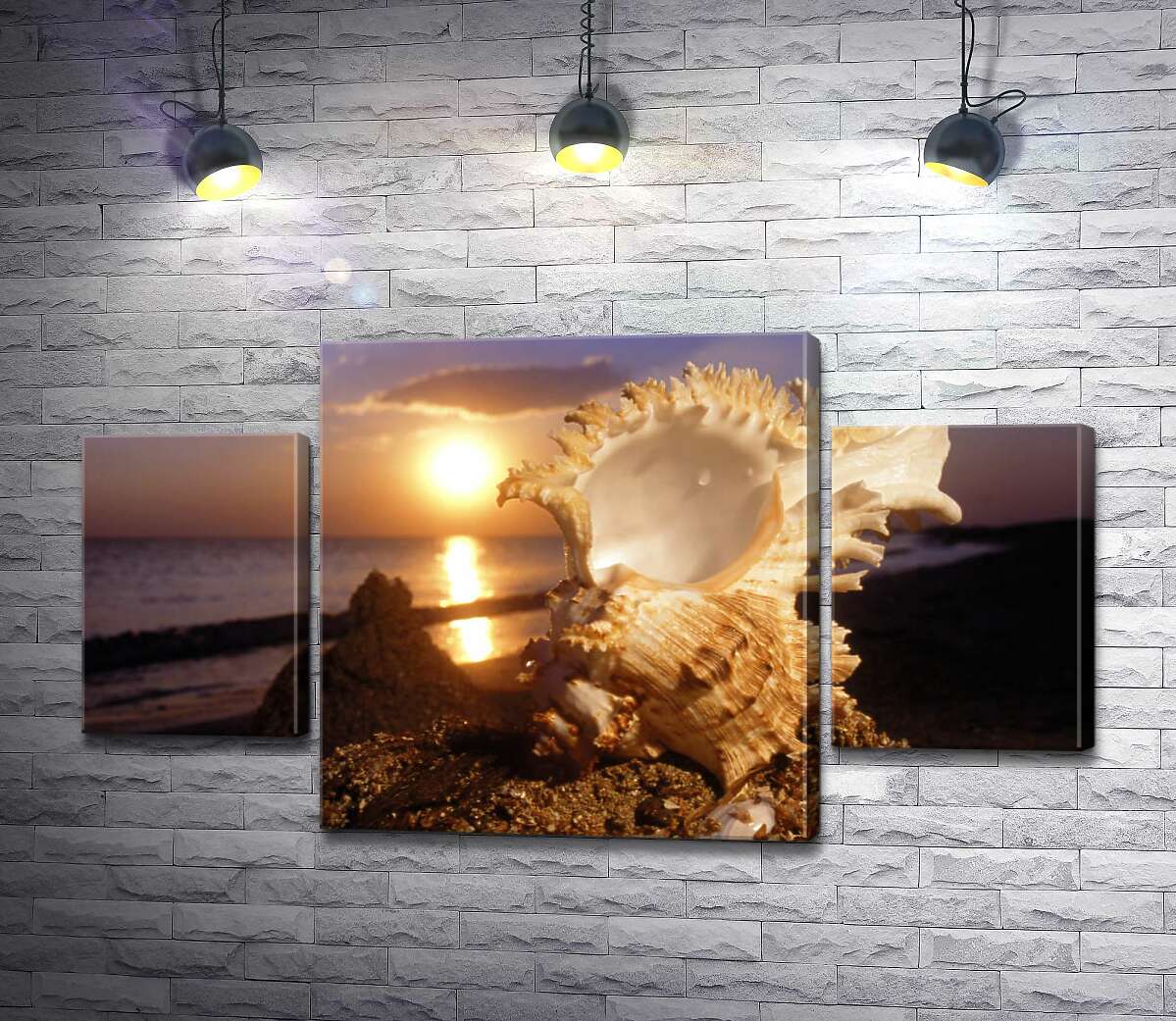 

Модульная картина ArtPoster Причудливые формы морской ракушки на фоне вечернего пляжа 80x45 см Модуль №7