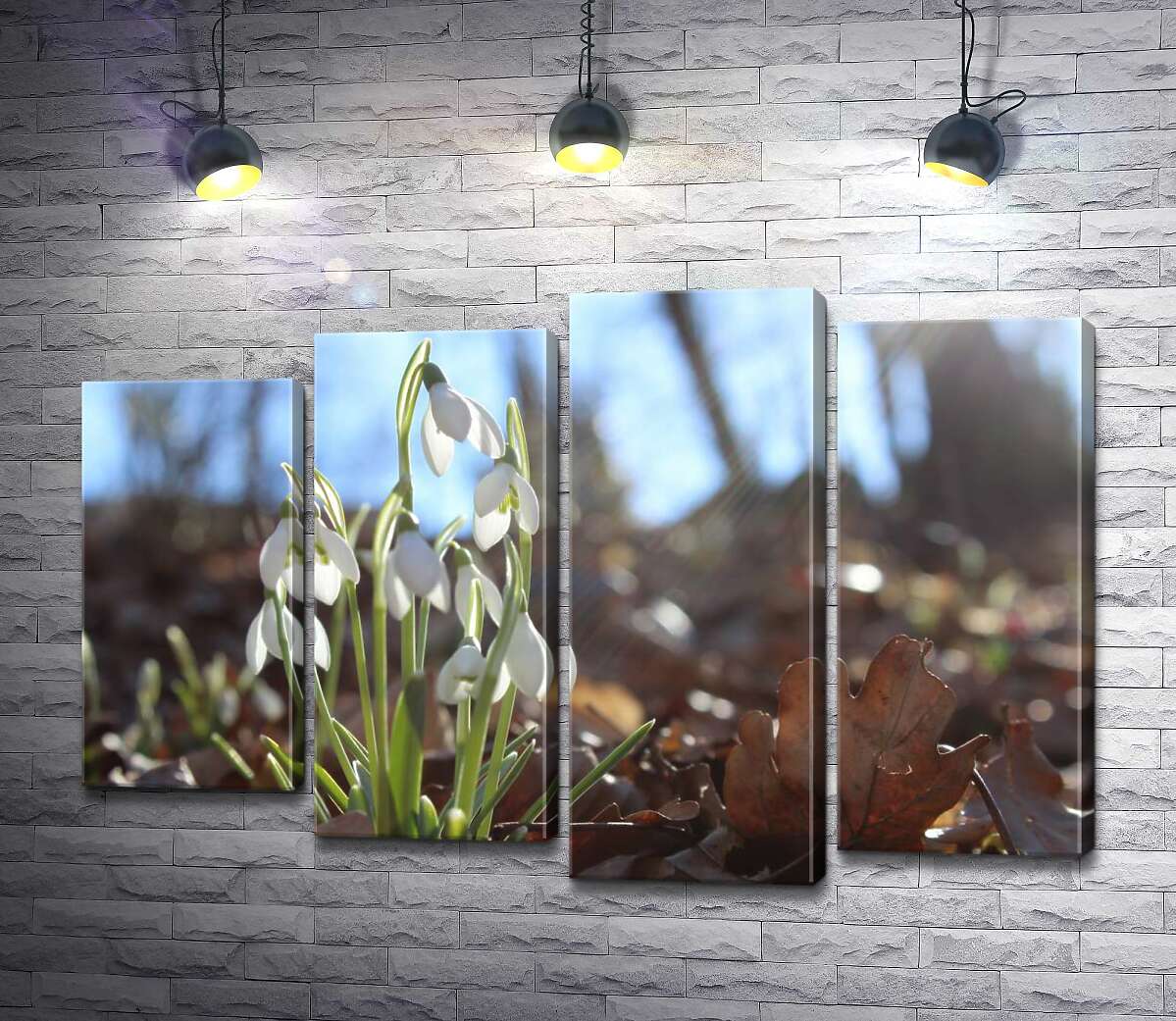 

Модульная картина ArtPoster Подснежники греются в лучах весеннего солнца 132x89 см Модуль №21