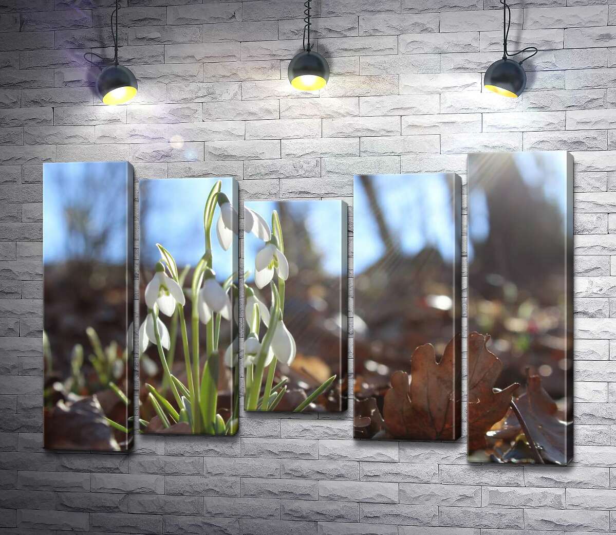 

Модульная картина ArtPoster Подснежники греются в лучах весеннего солнца 130x88 см Модуль №28