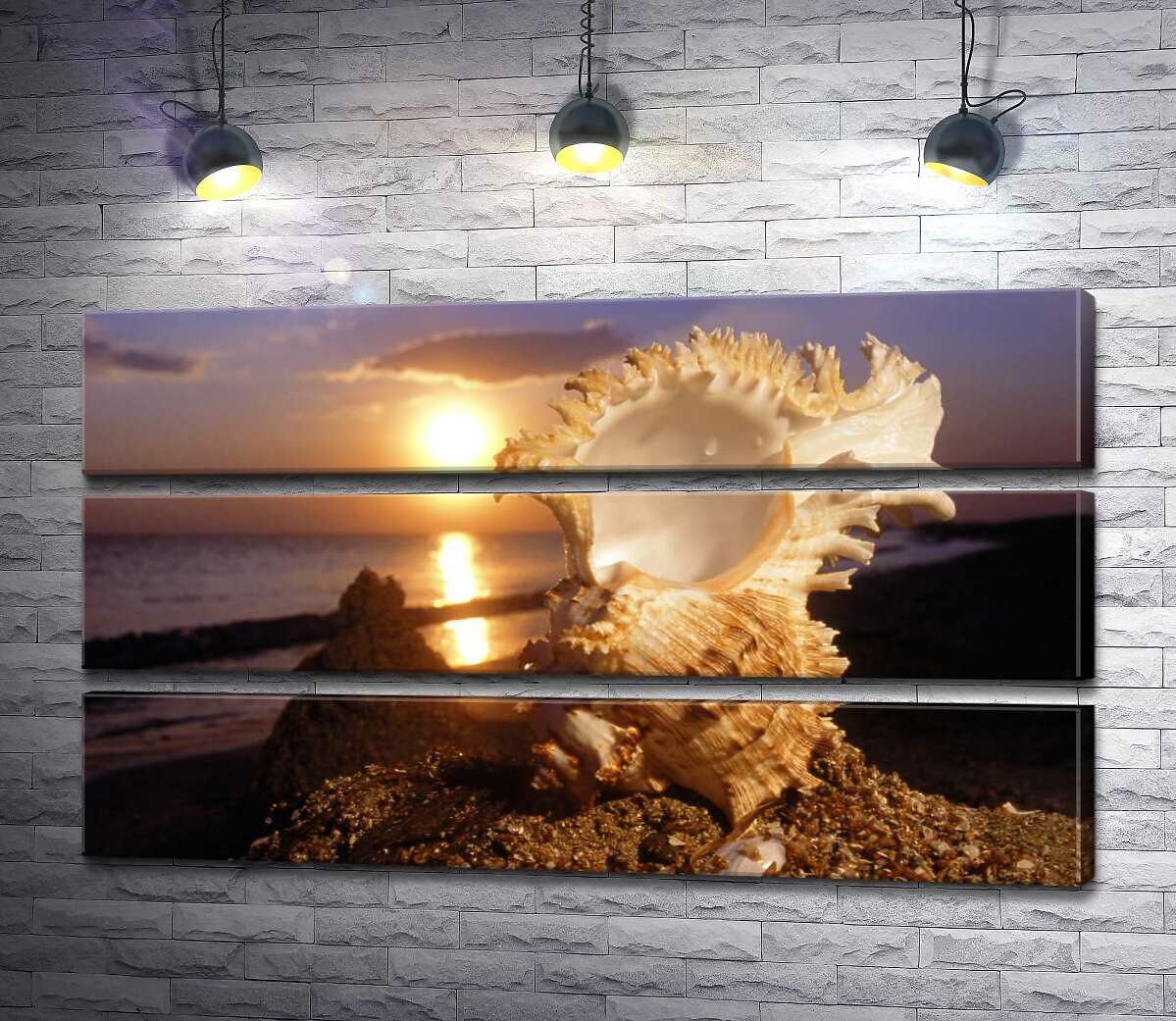

Модульная картина ArtPoster Причудливые формы морской ракушки на фоне вечернего пляжа 107x60 см Модуль №13