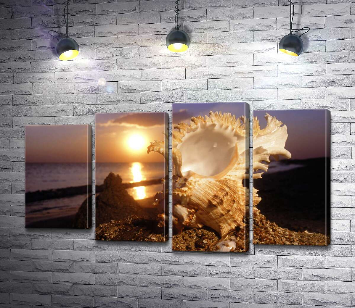 

Модульная картина ArtPoster Причудливые формы морской ракушки на фоне вечернего пляжа 80x47 см Модуль №21
