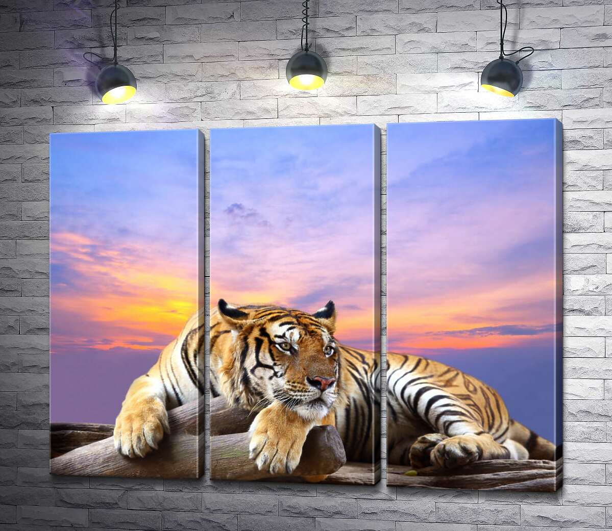 

Модульная картина ArtPoster Полосатый тигр мирно лежит на камне под переливами вечернего неба 102x78 см Модуль №11