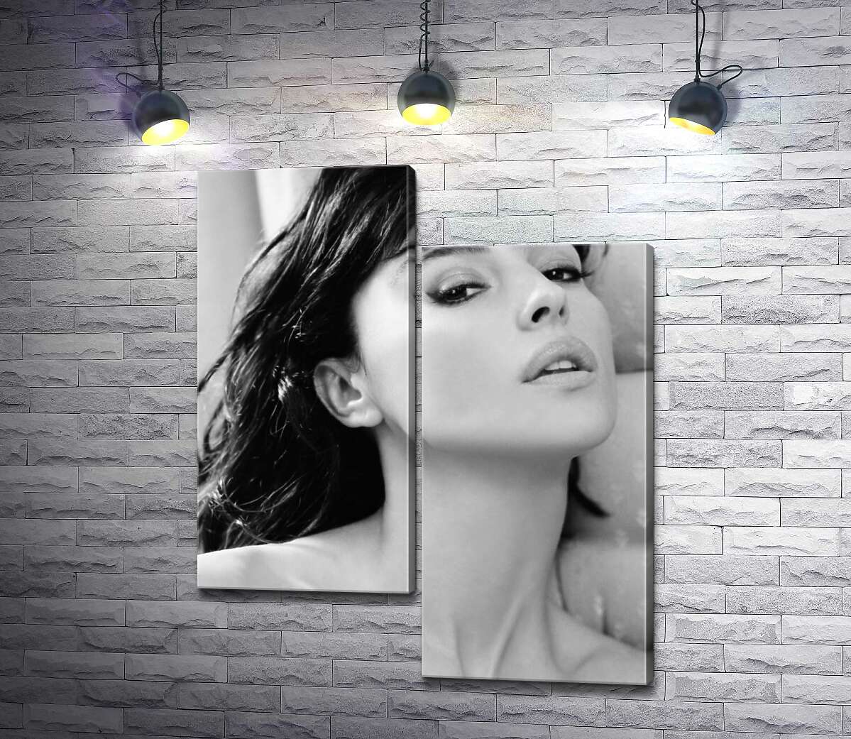 

Модульная картина ArtPoster Откровенный взгляд Моники Беллуччи (Monica Bellucci) 50x62 см Модуль №5