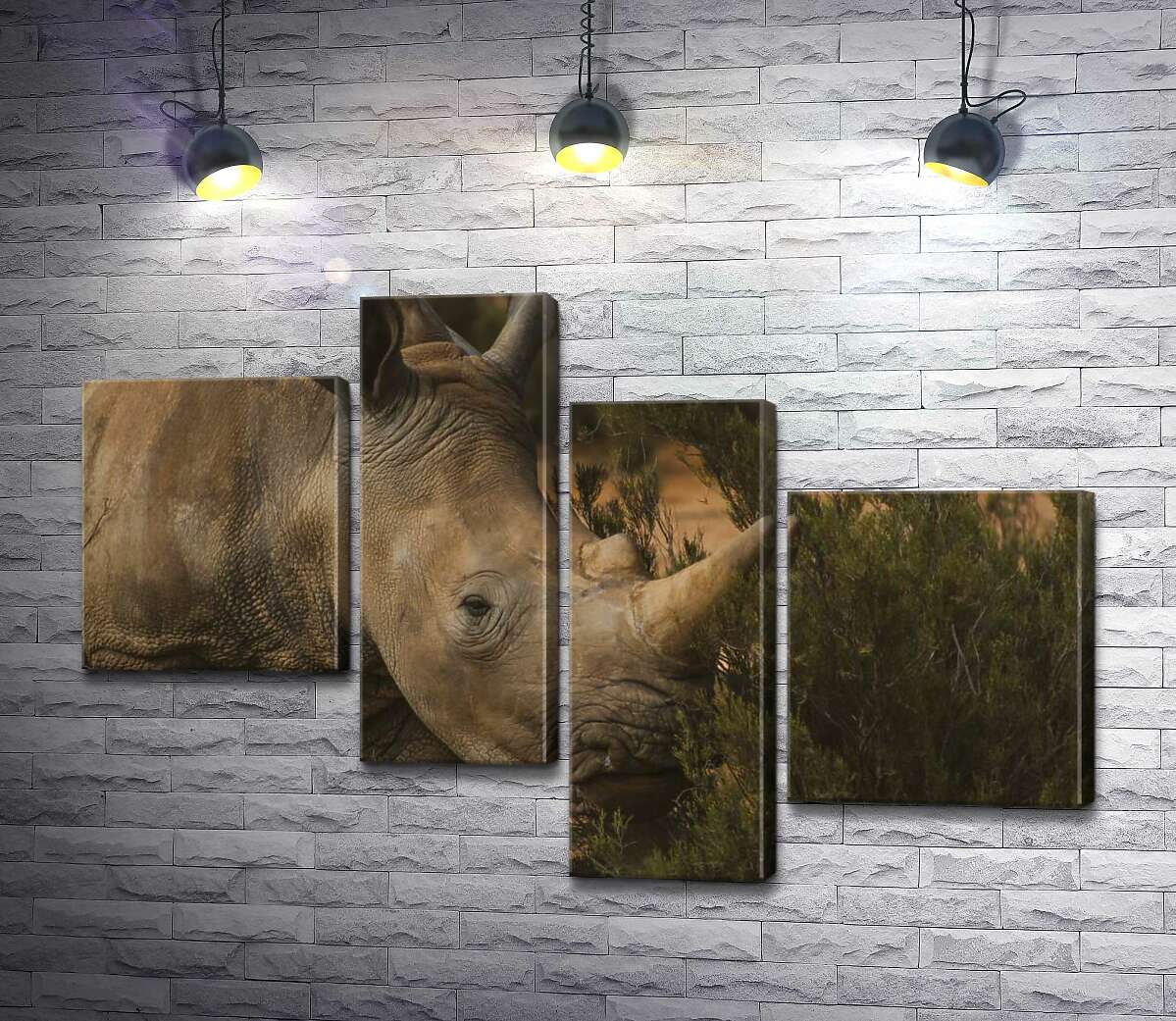 

Модульная картина ArtPoster Редкий белый носорог ест траву 100x69 см Модуль №20