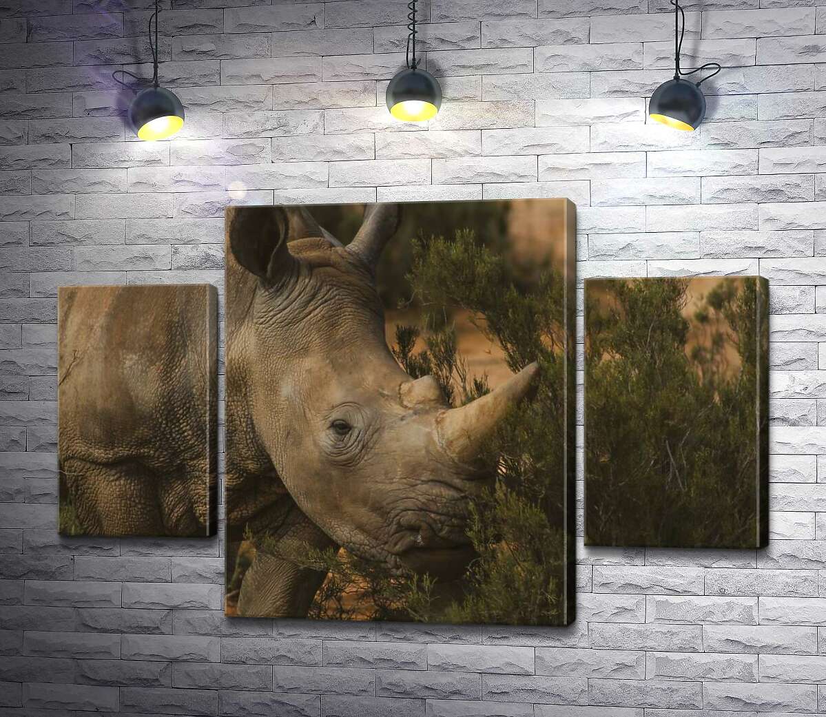 

Модульная картина ArtPoster Редкий белый носорог ест траву 80x54 см Модуль №7