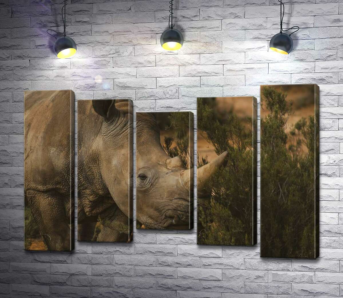 

Модульная картина ArtPoster Редкий белый носорог ест траву 130x88 см Модуль №28