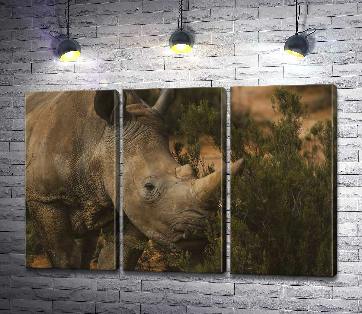 

Модульная картина ArtPoster Редкий белый носорог ест траву 132x87 см Модуль №11
