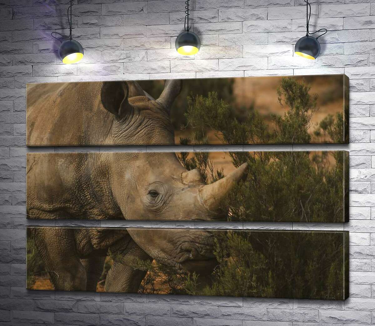 

Модульная картина ArtPoster Редкий белый носорог ест траву 130x87 см Модуль №13