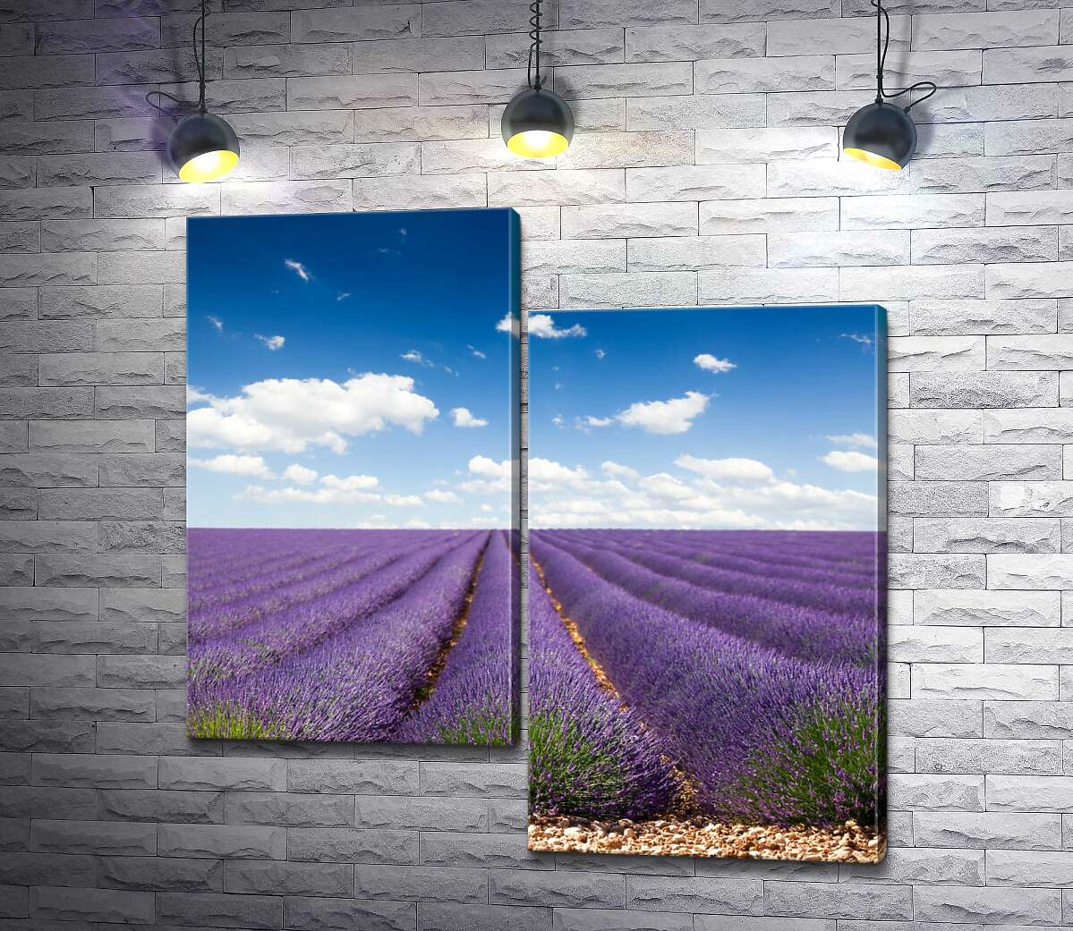 

Модульная картина ArtPoster Пурпурные ряды благоухающей лаванды исчезают за горизонтом 130x131 см Модуль №5