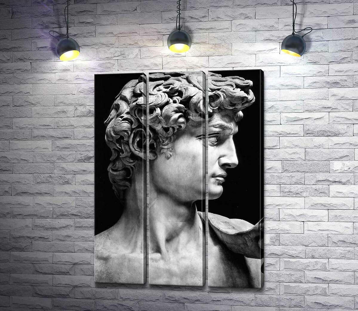 

Модульная картина ArtPoster Профиль скульптуры Давида - Микеланджело Буонарроти (Michelangelo Buonarroti) 132x185 см Модуль №11