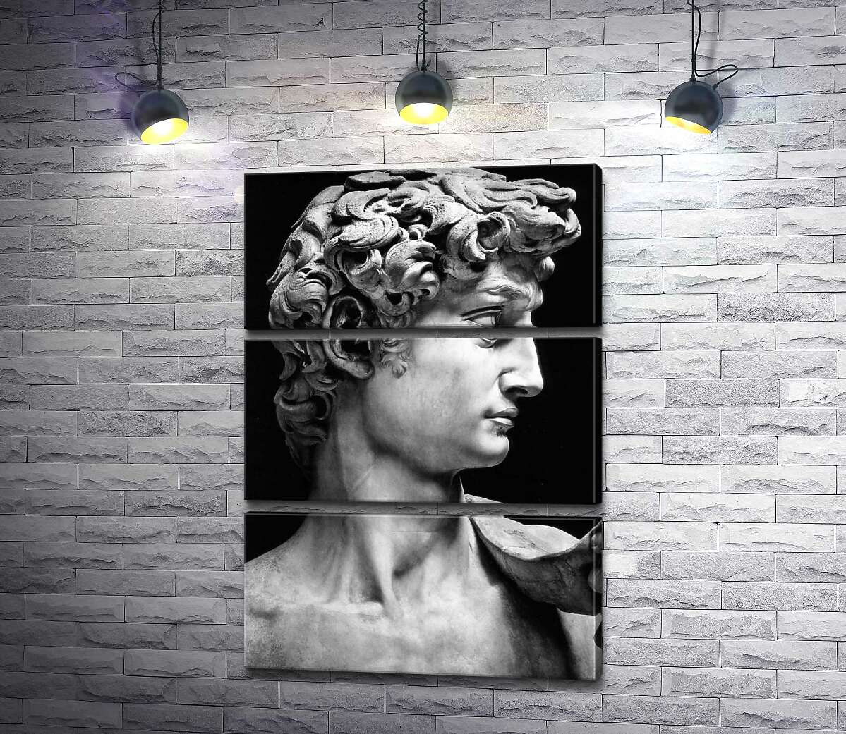 

Модульная картина ArtPoster Профиль скульптуры Давида - Микеланджело Буонарроти (Michelangelo Buonarroti) 50x72 см Модуль №13