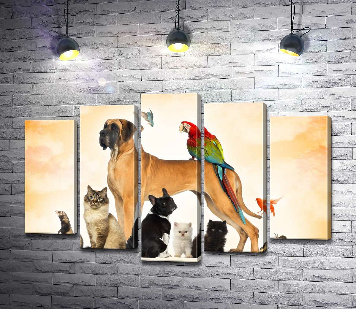 

Модульная картина ArtPoster Разнообразие пернатых и хвостатых домашних питомцев 100x67 см Модуль №26