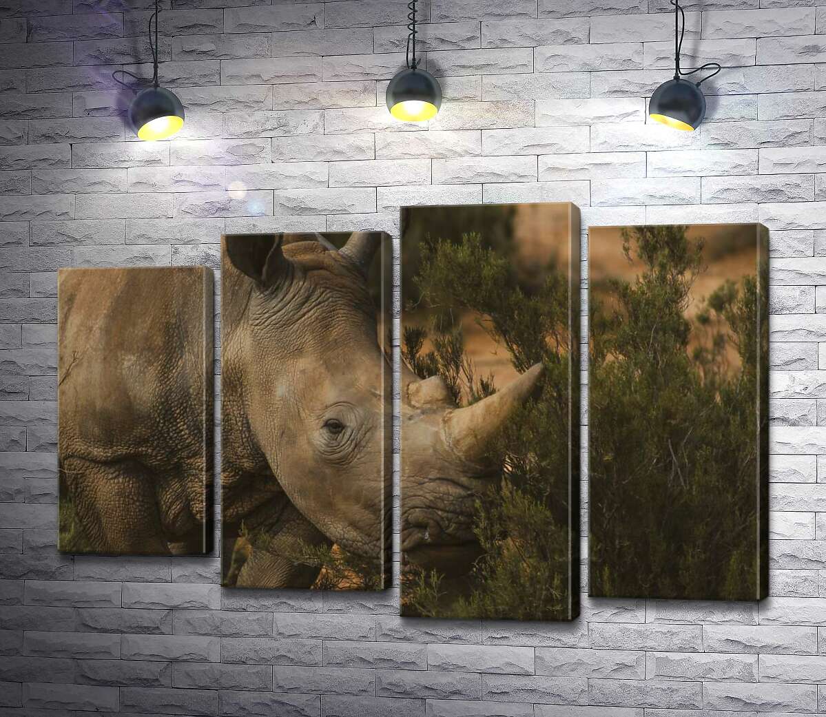 

Модульная картина ArtPoster Редкий белый носорог ест траву 100x69 см Модуль №21