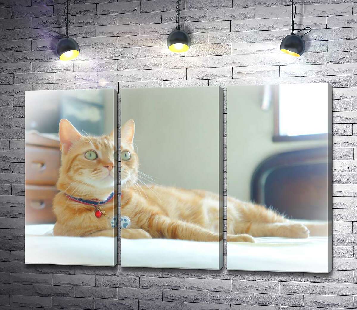 

Модульная картина ArtPoster Рыжий кот внимательно наблюдает 60x40 см Модуль №11