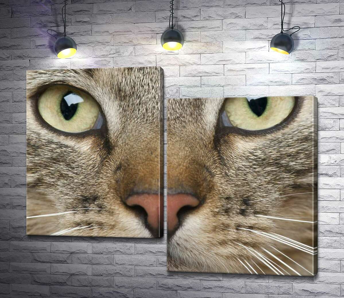 

Модульная картина ArtPoster Сосредоточенный взгляд зеленых глаз кота 130x102 см Модуль №5