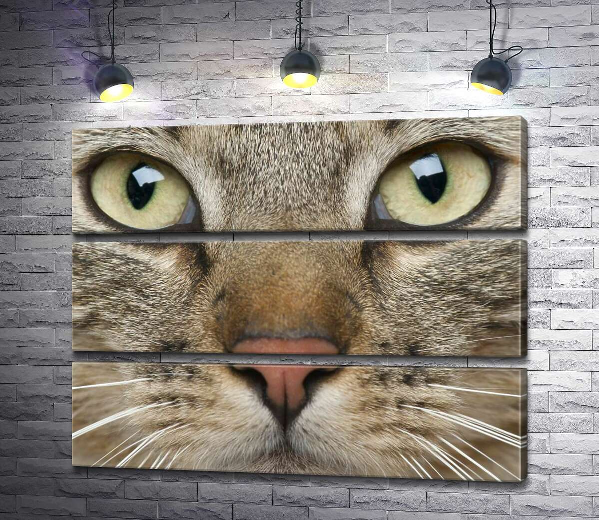 

Модульная картина ArtPoster Сосредоточенный взгляд зеленых глаз кота 77x60 см Модуль №13